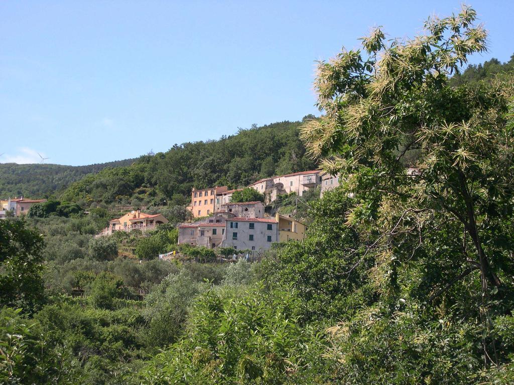 B&B Nelly G Carbuta Extérieur photo